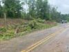Un tornado EF-1 tocó tierra en el condado de Tuscaloosa Un tornado EF-1 tocó tierra en el condado de Tuscaloosa