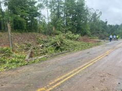 Un tornado EF-1 tocó tierra en el condado de Tuscaloosa Un tornado EF-1 tocó tierra en el condado de Tuscaloosa