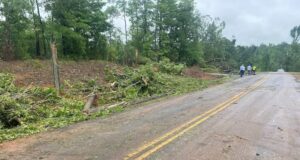 Un tornado EF-1 tocó tierra en el condado de Tuscaloosa Un tornado EF-1 tocó tierra en el condado de Tuscaloosa