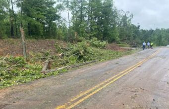 Un tornado EF-1 tocó tierra en el condado de Tuscaloosa Un tornado EF-1 tocó tierra en el condado de Tuscaloosa