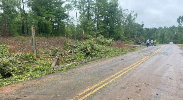 Un tornado EF-1 tocó tierra en el condado de Tuscaloosa Un tornado EF-1 tocó tierra en el condado de Tuscaloosa