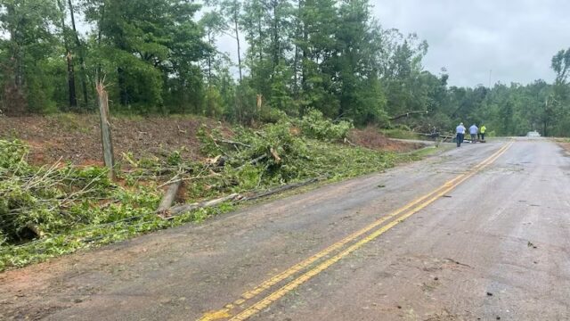 Un tornado EF-1 tocó tierra en el condado de Tuscaloosa Un tornado EF-1 tocó tierra en el condado de Tuscaloosa