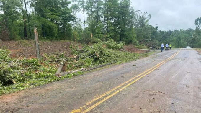 Un tornado EF-1 tocó tierra en el condado de Tuscaloosa Un tornado EF-1 tocó tierra en el condado de Tuscaloosa