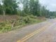 Un tornado EF-1 tocó tierra en el condado de Tuscaloosa Un tornado EF-1 tocó tierra en el condado de Tuscaloosa