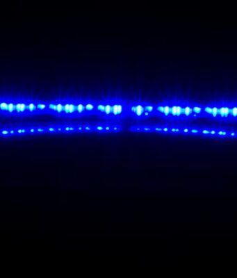Arresto en el condado de Hale por falsificación y fuga de prisión Luces de emergencia de color azul brillante de una patrulla de la policía encendidas en la oscuridad de la noche.