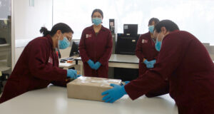 México recupera valioso documento histórico de Hernán Cortés Personal calificado de México con batas guindas y guantes azules inspecciona una caja con un documento histórico.