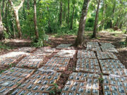 Latinoamérica: Nicaragua decomisa 475 paquetes de cocaína Paquetes de cocaína decomisados por el Ejército de Nicaragua durante un operativo antidrogas en Río San Juan.