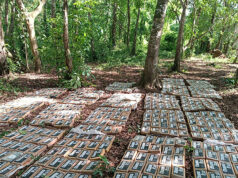 Latinoamérica: Nicaragua decomisa 475 paquetes de cocaína Paquetes de cocaína decomisados por el Ejército de Nicaragua durante un operativo antidrogas en Río San Juan.
