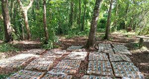 Latinoamérica: Nicaragua decomisa 475 paquetes de cocaína Paquetes de cocaína decomisados por el Ejército de Nicaragua durante un operativo antidrogas en Río San Juan.