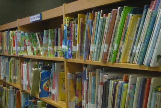 Resultados de la prueba ACAP de lectura en Alabama 2026 Estanterías de madera repletas de libros infantiles de colores en una biblioteca escolar de Alabama.