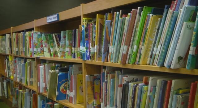 Resultados de la prueba ACAP de lectura en Alabama 2026 Estanterías de madera repletas de libros infantiles de colores en una biblioteca escolar de Alabama.
