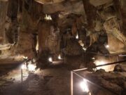 Rickwood Caverns estrena carretera y parque infantil moderno Interior iluminado del Parque Estatal Rickwood Caverns en Alabama mostrando formaciones rocosas subterráneas.