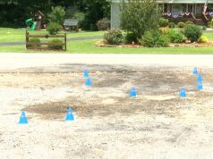 Choque en el condado de Blount deja una adolescente muerta Conos azules de investigación policial sobre el asfalto manchado en una carretera del condado de Blount.
