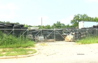Anniston exige limpiar vertedero ilegal de neumáticos Cerca metálica rodeada de vegetación que protege un vertedero con miles de neumáticos apilados en Anniston.