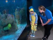 Aventura submarina llega a Birmingham este verano Una mujer y un niño disfrazado de Flounder observan una anguila dentro del acuario de Birmingham.