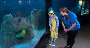 Aventura submarina llega a Birmingham este verano Una mujer y un niño disfrazado de Flounder observan una anguila dentro del acuario de Birmingham.