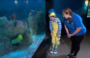 Aventura submarina llega a Birmingham este verano Una mujer y un niño disfrazado de Flounder observan una anguila dentro del acuario de Birmingham.