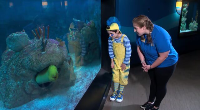 Una mujer y un niño disfrazado de Flounder observan una anguila dentro del acuario de Birmingham.