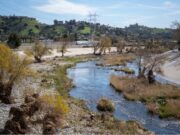 Contaminación por PFAS afecta el 98% de ríos en la Nación Canal de río contaminado por PFAS rodeado de vegetación, infraestructura eléctrica y viviendas urbanas.