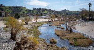 Contaminación por PFAS afecta el 98% de ríos en la Nación Canal de río contaminado por PFAS rodeado de vegetación, infraestructura eléctrica y viviendas urbanas.