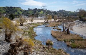 Contaminación por PFAS afecta el 98% de ríos en la Nación Canal de río contaminado por PFAS rodeado de vegetación, infraestructura eléctrica y viviendas urbanas.
