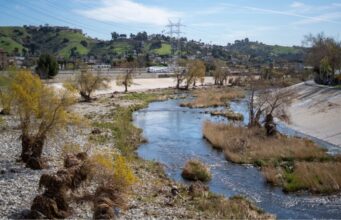 Contaminación por PFAS afecta el 98% de ríos en la Nación Canal de río contaminado por PFAS rodeado de vegetación, infraestructura eléctrica y viviendas urbanas.