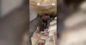 Incautan 3 toneladas de metanfetamina en Sonora Agentes inspeccionan costales con decomiso de metanfetamina en la caja de un camión en México.