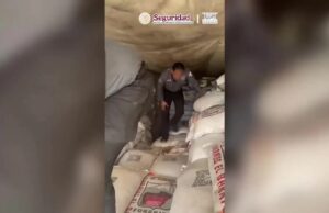 Incautan 3 toneladas de metanfetamina en Sonora Agentes inspeccionan costales con decomiso de metanfetamina en la caja de un camión en México.