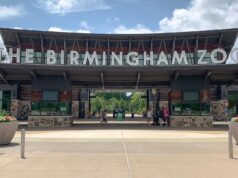 Alabama elige al Zoológico de Birmingham atracción del año Entrada principal del Zoológico de Birmingham en Alabama con el letrero gigante en letras blancas bajo un cielo despejado.