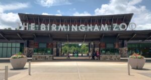 Alabama elige al Zoológico de Birmingham atracción del año Entrada principal del Zoológico de Birmingham en Alabama con el letrero gigante en letras blancas bajo un cielo despejado.