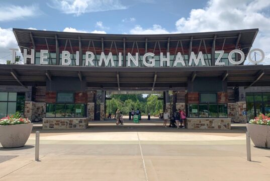 Alabama elige al Zoológico de Birmingham atracción del año Entrada principal del Zoológico de Birmingham en Alabama con el letrero gigante en letras blancas bajo un cielo despejado.