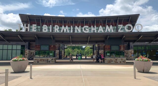 Alabama elige al Zoológico de Birmingham atracción del año Entrada principal del Zoológico de Birmingham en Alabama con el letrero gigante en letras blancas bajo un cielo despejado.