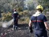 Incendios masivos en Francia arrasan miles de hectáreas Dos bomberos rociando agua sobre matorrales quemados durante los incendios en Francia.