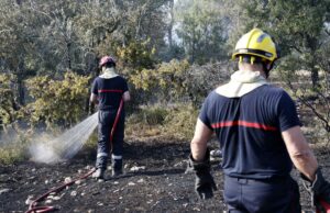 Incendios masivos en Francia arrasan miles de hectáreas Dos bomberos rociando agua sobre matorrales quemados durante los incendios en Francia.