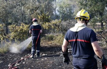 Incendios masivos en Francia arrasan miles de hectáreas Dos bomberos rociando agua sobre matorrales quemados durante los incendios en Francia.
