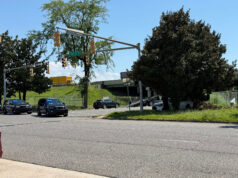 Persecución policial en Vestavia Hills deja dos heridos Dos patrullas policiales con luces encendidas custodian la escena de un choque cerca de un cartel de la calle 11.