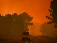 Incendio en Portugal moviliza a más de 800 bomberos Vehículo de emergencia transitando por carretera rodeada de humo por incendio forestal en Portugal.