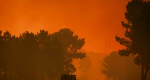 Incendio en Portugal moviliza a más de 800 bomberos Vehículo de emergencia transitando por carretera rodeada de humo por incendio forestal en Portugal.
