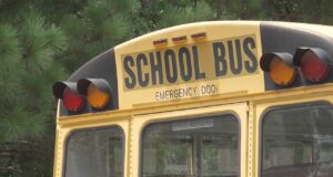 Escasez de conductores causa retrasos en autobuses escolares Parte trasera superior de un autobús escolar amarillo con las letras School Bus y luces de advertencia.