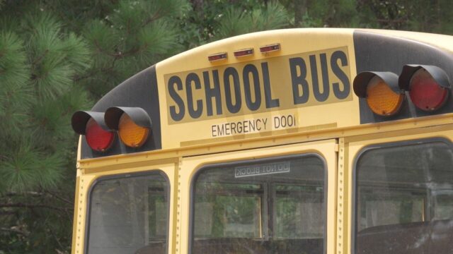 Parte trasera superior de un autobús escolar amarillo con las letras School Bus y luces de advertencia.