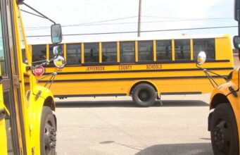 Jefferson expande escuelas magnet y frenaría a Irondale Autobuses escolares amarillos marcados con el texto Jefferson County Schools estacionados en un patio.