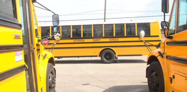 Autobuses escolares amarillos marcados con el texto Jefferson County Schools estacionados en un patio.