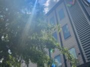 Apartamentos clausurados en Tuscaloosa por presencia de moho Fachada del complejo de apartamentos The Walk en Tuscaloosa investigado por problemas de moho.
