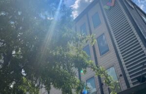 Apartamentos clausurados en Tuscaloosa por presencia de moho Fachada del complejo de apartamentos The Walk en Tuscaloosa investigado por problemas de moho.