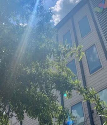Apartamentos clausurados en Tuscaloosa por presencia de moho Fachada del complejo de apartamentos The Walk en Tuscaloosa investigado por problemas de moho.