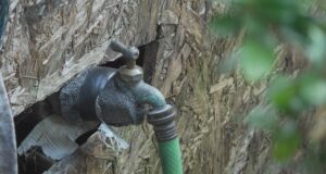 Facturas de agua excesivas generan cobros de cientos de dólares Llave de agua exterior con aislamiento y manguera verde conectada en una pared de madera.