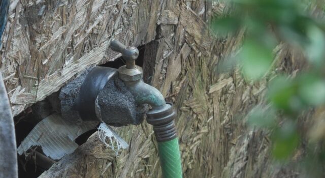 Facturas de agua excesivas generan cobros de cientos de dólares Llave de agua exterior con aislamiento y manguera verde conectada en una pared de madera.
