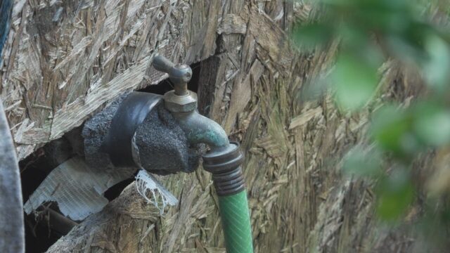 grifo-agua-manguera-instalacion-wilton-water Llave de agua exterior con aislamiento y manguera verde conectada en una pared de madera.