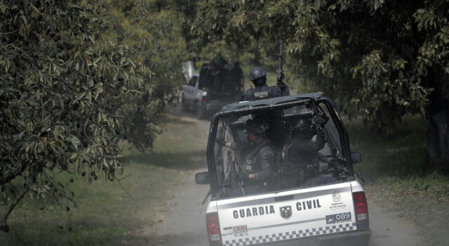 Detienen a ‘El Vikingo’ por extorsionar a aguacateros Patrulla de la Guardia Civil realiza operativos de vigilancia entre huertas de aguacate en Michoacán.