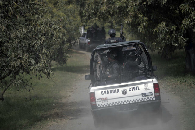 Patrulla de la Guardia Civil realiza operativos de vigilancia entre huertas de aguacate en Michoacán.